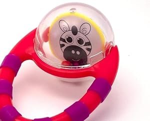 Sassy Flip and Grip Rattle 2 Count